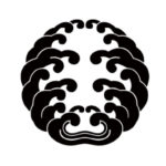 活き烏賊コース